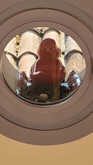 La Piccola Casa Al Lago - Intera Casa Con 3 Camere E 2 Box Salò Dış mekan fotoğraf