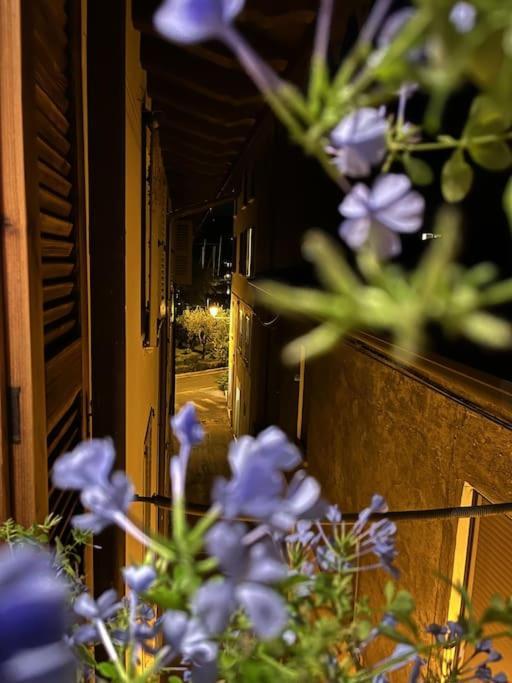 La Piccola Casa Al Lago - Intera Casa Con 3 Camere E 2 Box Salò Dış mekan fotoğraf
